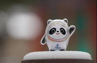 “冰墩墩”、、、、“雪容融”商标也抢手，，已被成功注册！！